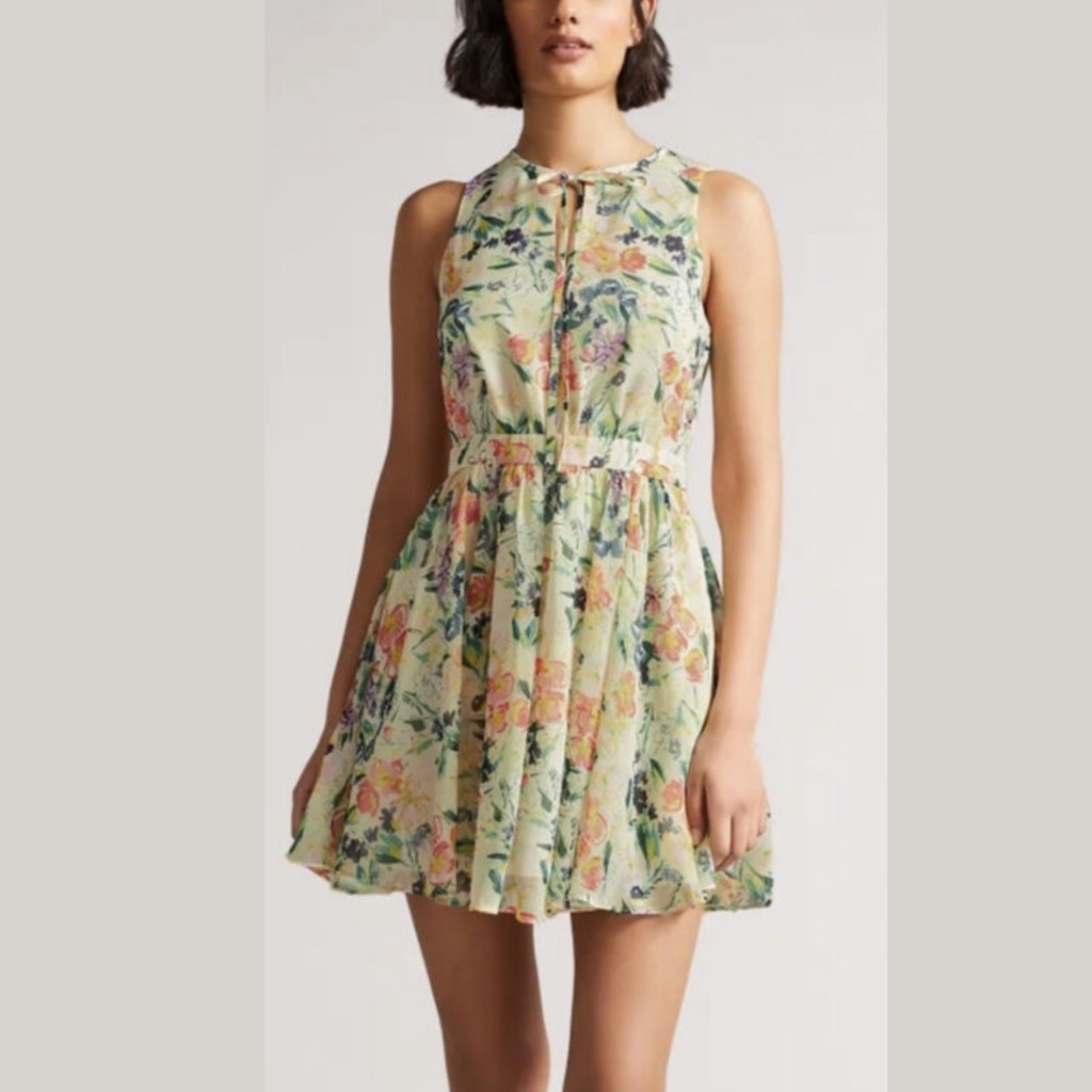 Ted Baker Floral Haariss Mini Dress